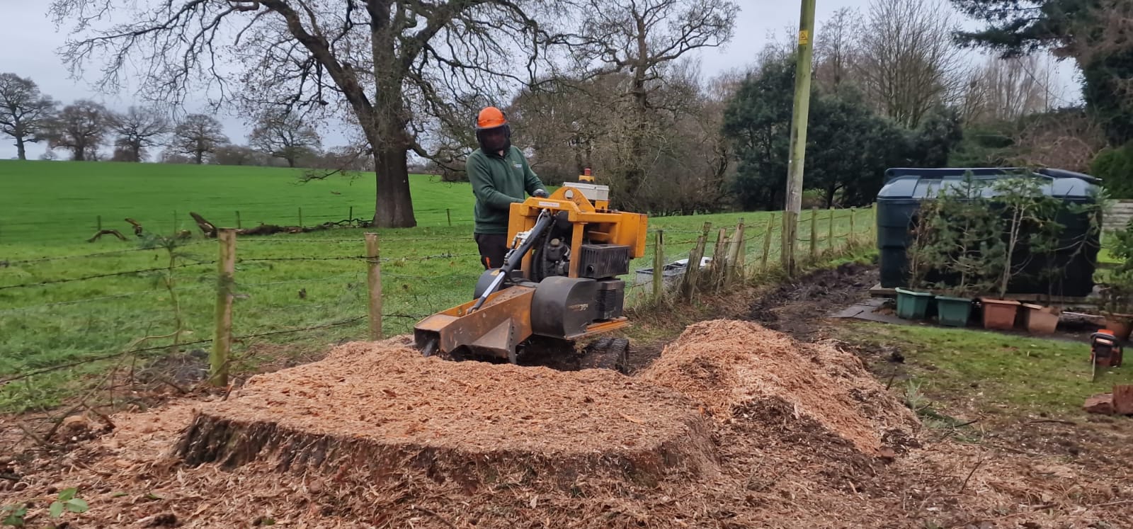 Tree stump removal and grinding service in Stevenage